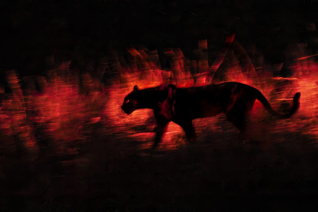 Black Panther Atmosphere de Andrew Rouse